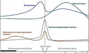 Почему бывает диарея при месячных у женщин