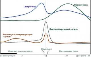 Почему бывает диарея при месячных у женщин