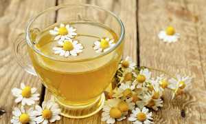 Ромашка от поноса: полезные свойства и применение