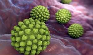 Понос во время беременности: причины и рекомендации