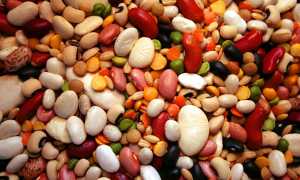 Диета при язве желудка и гастрите: советы и рекомендации