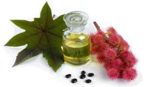 Очищение организма касторовым маслом для здоровья и благополучия