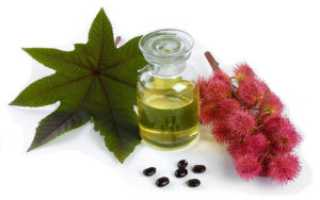 Очищение организма касторовым маслом для здоровья и благополучия