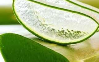 Как принимать алоэ при гастрите для улучшения здоровья