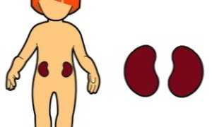 Что делать если понос у новорожденного ребенка: советы и рекомендации