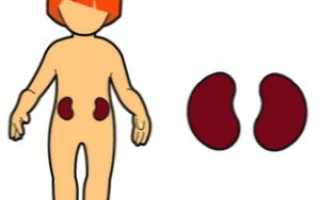 Что делать если понос у новорожденного ребенка: советы и рекомендации