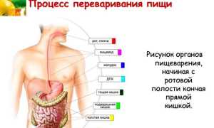 Понос и вздутие живота: причины и лечение