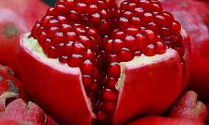 Разрешен ли гранат при гастрите: полезные советы и рекомендации