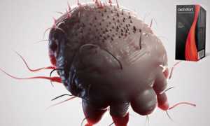 Капли Гельмифорт от паразитов для здоровья организма