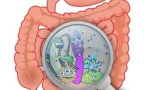 Что делать, если отравление с рвотой и поносом у взрослого человека