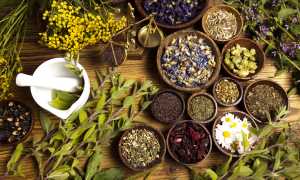 Травы со слабительным эффектом от запоров для улучшения пищеварения