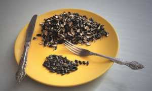 Семечки при гастрите: можно или нет? Узнайте мнение врачей.