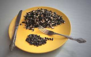 Семечки при гастрите: можно или нет? Узнайте мнение врачей.