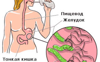 Понос и отрыжка яйцами: причины и лечение