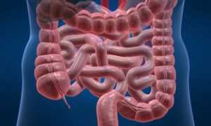 Упражнения и йога от запора для улучшения пищеварения