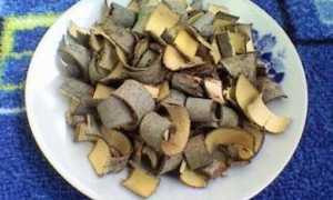 Народные средства от мужского геморроя: эффективные рецепты и советы