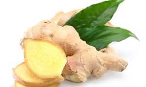 Имбирь во время гастрита: полезные свойства и рекомендации