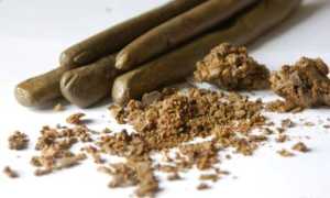 Лечение язвы желудка и 12-перстной кишки прополисом: эффективные методы и советы