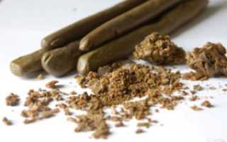 Лечение язвы желудка и 12-перстной кишки прополисом: эффективные методы и советы