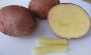 Как нужно лечить геморрой у мужчин правильно и эффективно