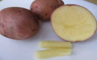 Как нужно лечить геморрой у мужчин правильно и эффективно