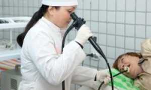 ФГДС желудка и кишечника: что это такое и зачем нужно