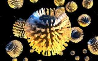 Утренний понос: причины и рекомендации