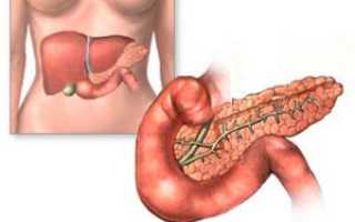 Понос после приема пищи у взрослого: причины и лечение