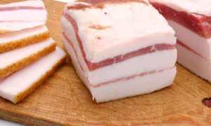 Разрешено ли сало при гастрите: полезные советы и рекомендации