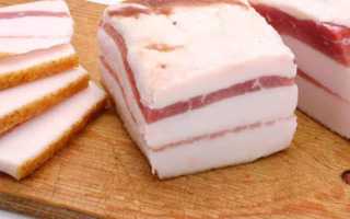 Разрешено ли сало при гастрите: полезные советы и рекомендации