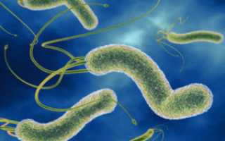 Бульбит эрозивного типа: причины и симптомы