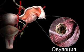 Почему вздувается живот после овуляции: причины и советы