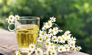 Травы для лечения изжоги и улучшения пищеварения