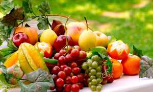 Понос у ребенка без температуры: причины и рекомендации