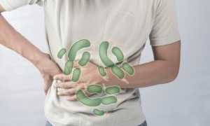 Кора дуба от поноса: полезные свойства и применение