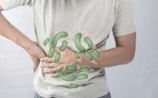 Кора дуба от поноса: полезные свойства и применение