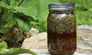 Лечение от хеликобактер народными средствами в домашних условиях