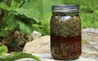 Лечение от хеликобактер народными средствами в домашних условиях