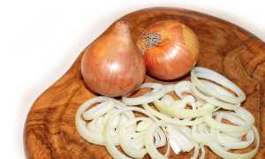 Луковое варенье для лечения от язвы желудка: полезные свойства и рецепты