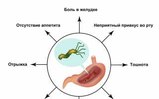 Хеликобактер пилори: что это, как лечат и предотвращают