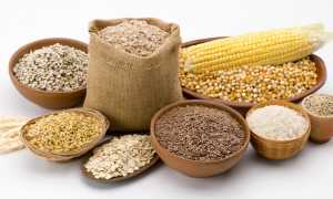 Как избежать переедания в праздники и сохранить здоровье