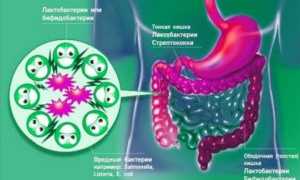 Понос у ребенка с температурой: причины и рекомендации
