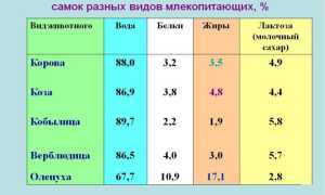 Можно ли молоко при язве желудка: полезные советы и рекомендации