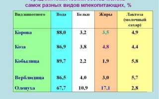 Можно ли молоко при язве желудка: полезные советы и рекомендации