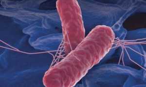 Понос и резь в животе: причины и лечение