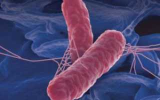 Понос и резь в животе: причины и лечение