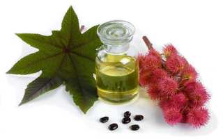 Касторовое масло против запоров: полезные свойства и применение