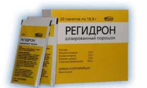 Что можно есть при рвоте и поносе для быстрого восстановления