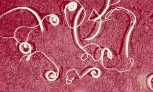 Понос и приступы рвоты: причины и лечение