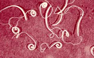 Понос и приступы рвоты: причины и лечение